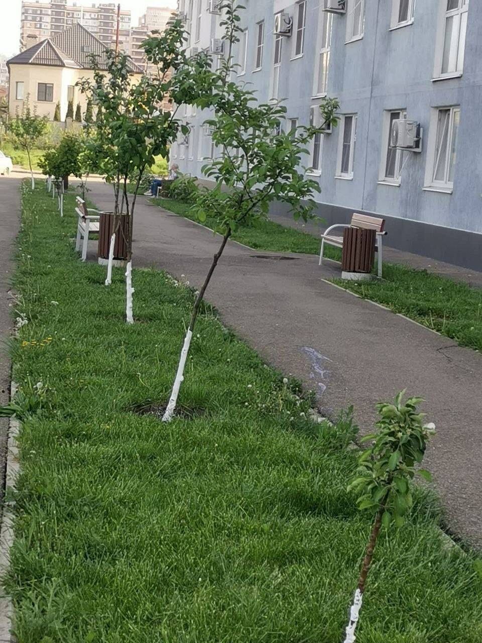Новые скамейки и озеленение на Симиренко 45