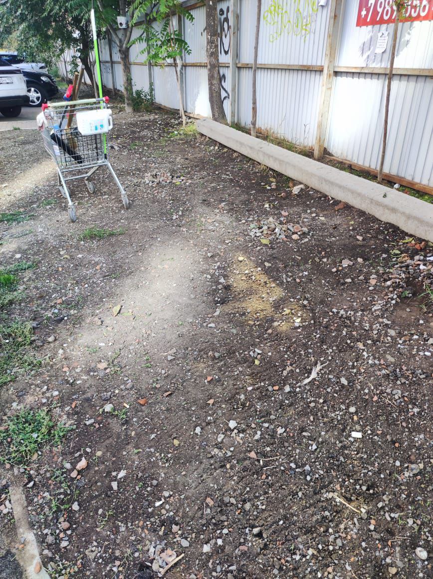 Уборка газонов на Гаражной 71/1